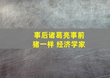 事后诸葛亮事前猪一样 经济学家